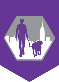 Urban Dog Care NYC